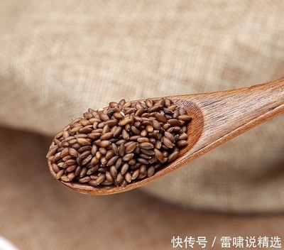 珍稀谷物的璀璨回歸 秦嶺之緣與張掖豐收的奇跡
